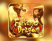 Fortune Dragon